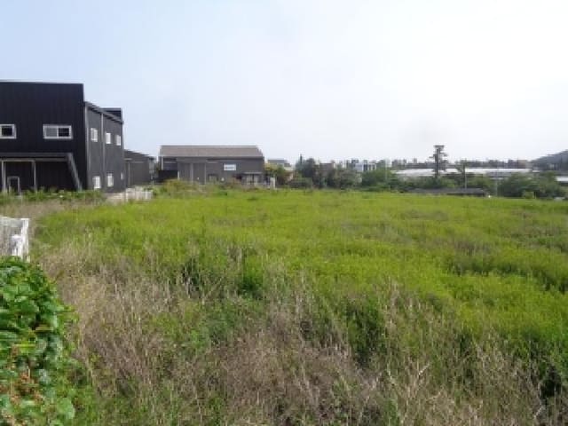 B000530202501300012821.jpg
