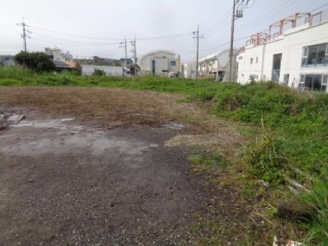B000530202501300012993.jpg
