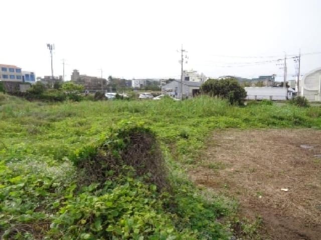 B000530202501300012992.jpg