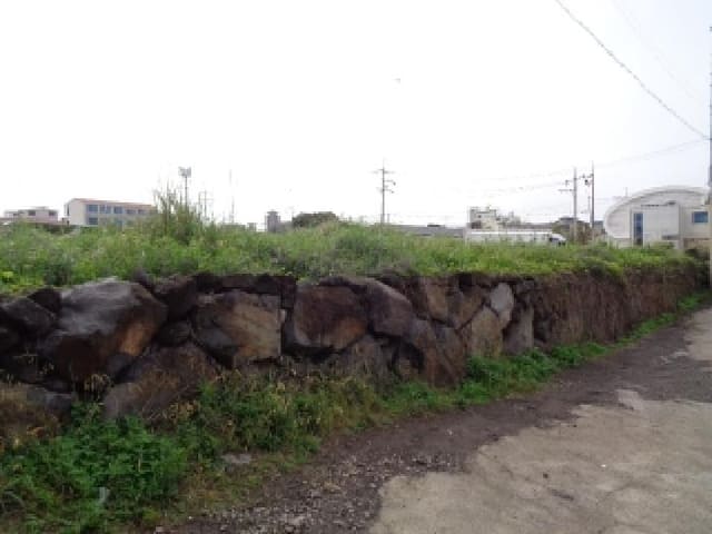 B000530202501300012994.jpg