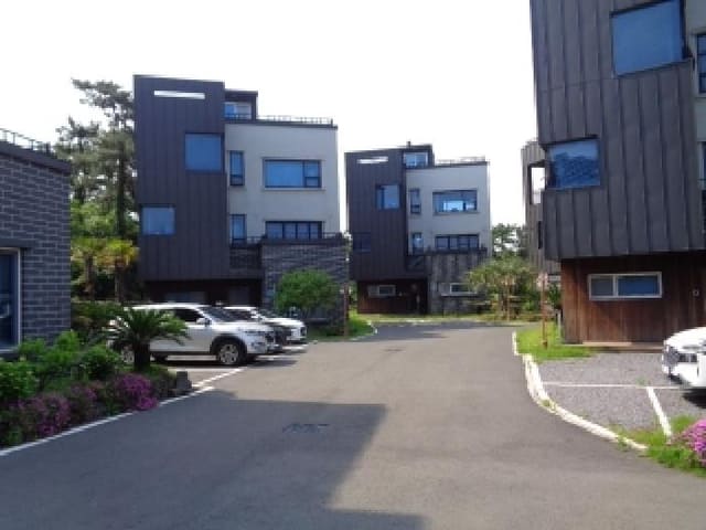 B000530202501300013034.jpg
