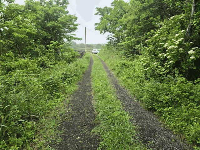 B0005302025013000131122.jpg