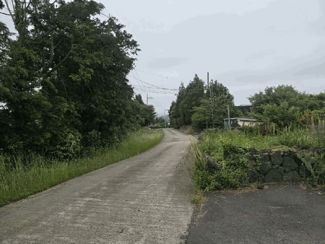 B0005302025013000131121.jpg