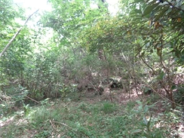 B000530202501300013151.jpg