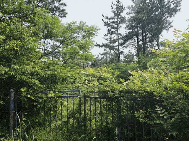 B000530202501300013154.jpg