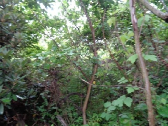 B000530202501300013281.jpg