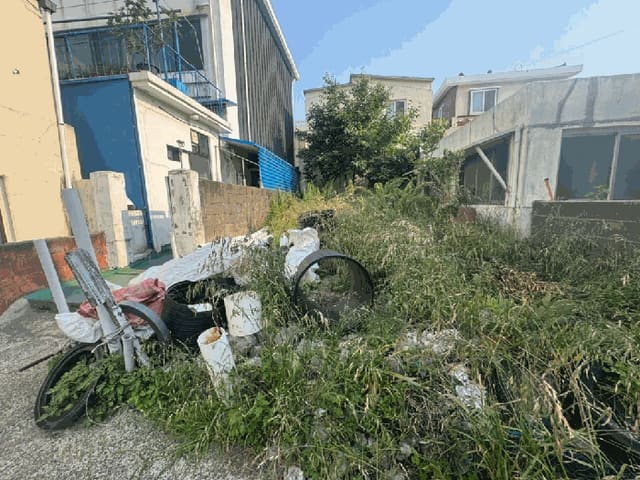 B000530202501300013353.jpg