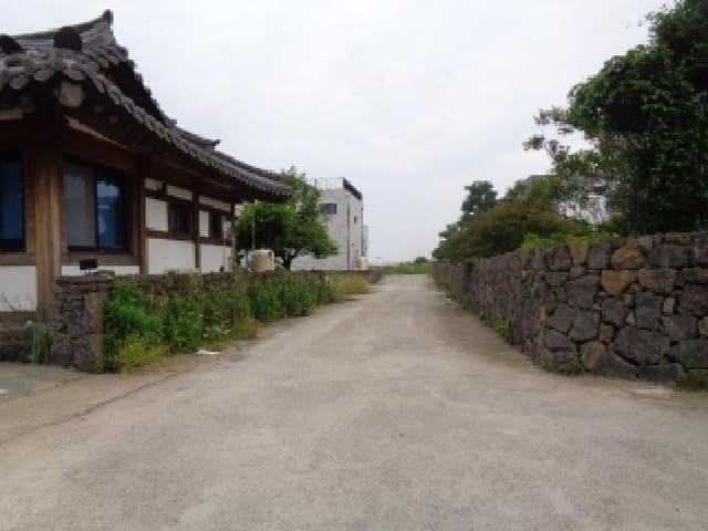B000530202501300013412.jpg