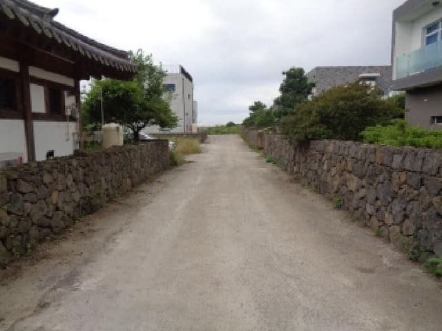 B000530202501300013421.jpg