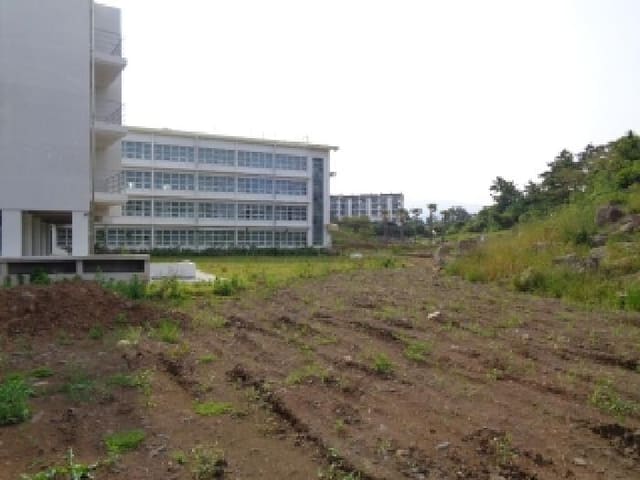 B000530202501300013454.jpg