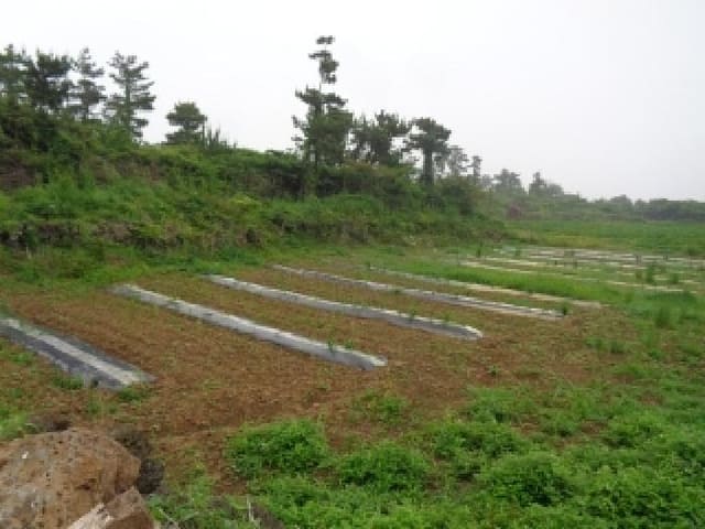 B000530202501300013521.jpg