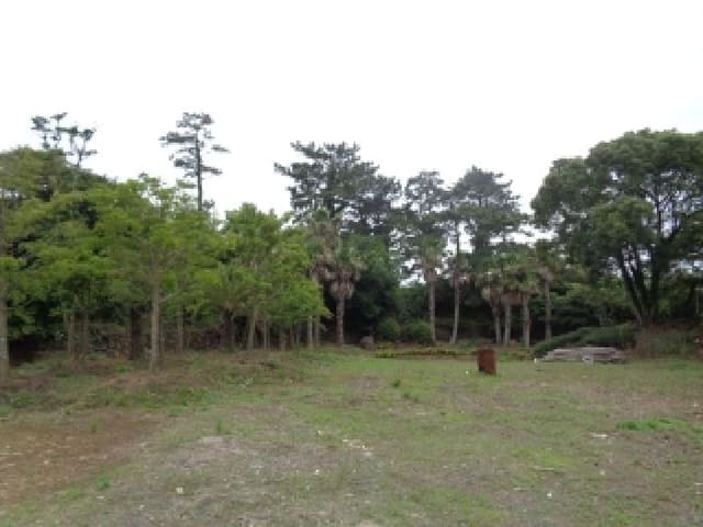 B000530202501300013572.jpg