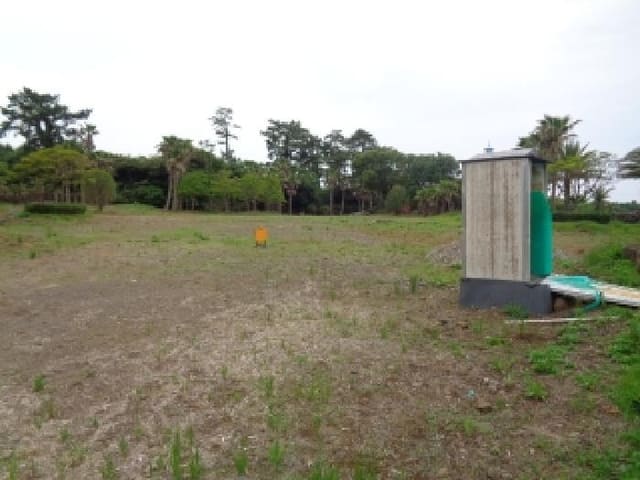B000530202501300013571.jpg