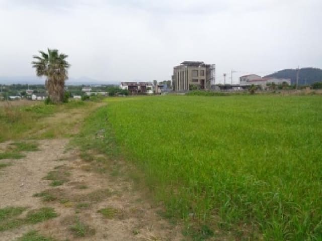 B000530202501300013864.jpg