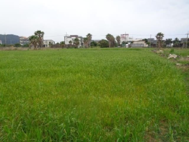 B000530202501300013863.jpg