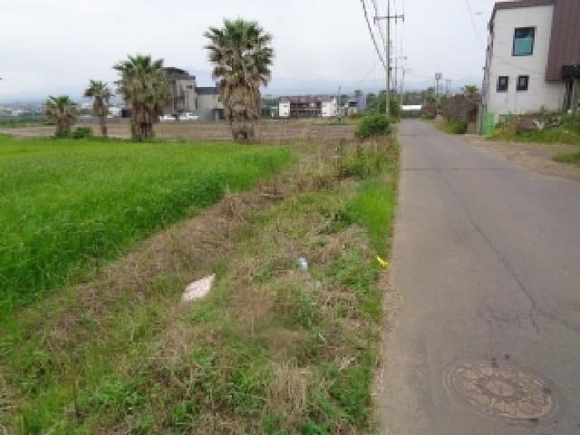 B000530202501300013862.jpg