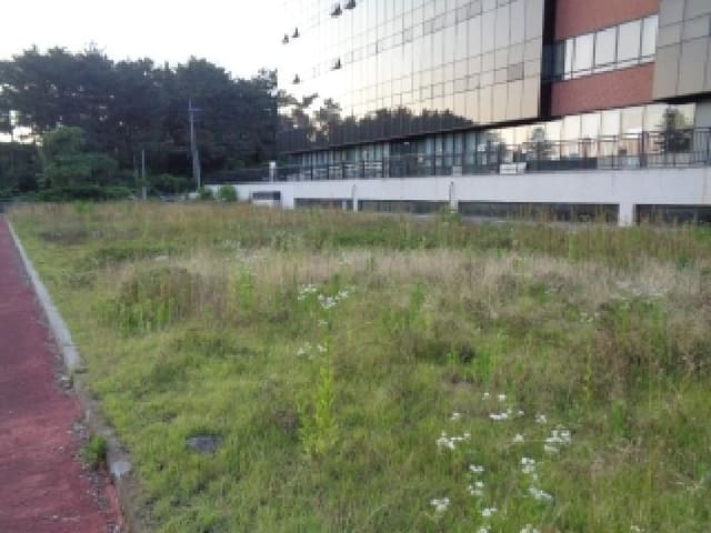 B000530202501300013941.jpg
