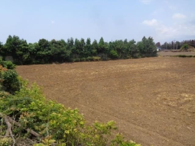 B000530202501300014091.jpg