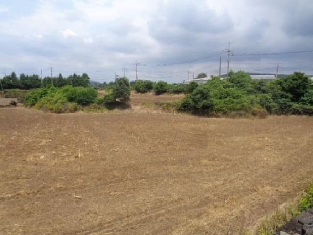 B000530202501300014094.jpg