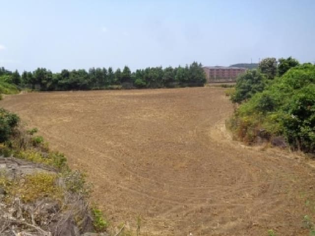 B000530202501300014093.jpg