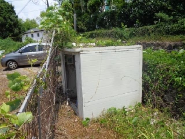 B000530202501300014101.jpg
