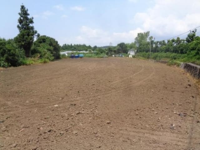 B000530202501300014103.jpg