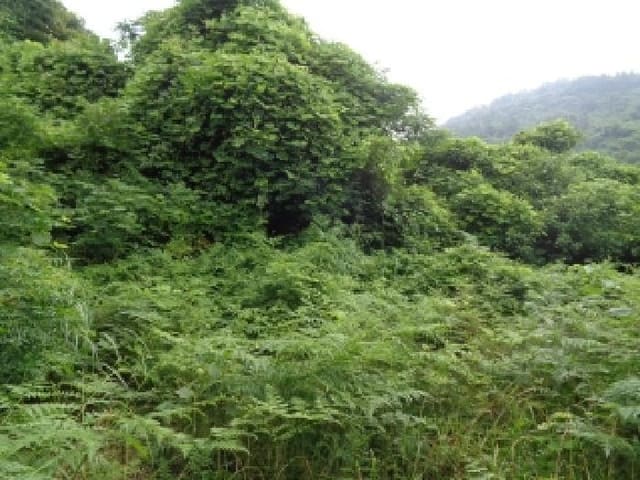 B000530202501300014203.jpg