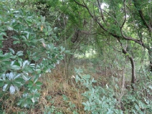 B000530202501300014201.jpg