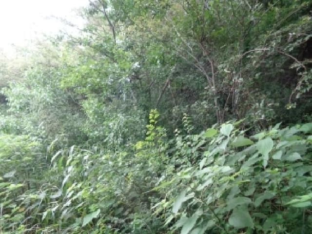 B000530202501300014204.jpg