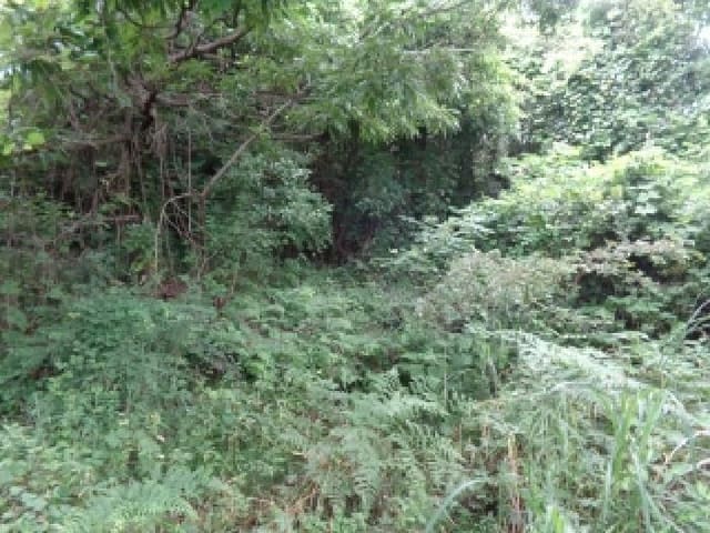 B000530202501300014202.jpg