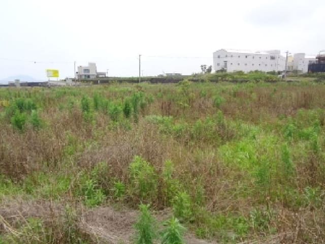 B000530202501300014242.jpg