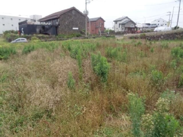 B000530202501300014241.jpg