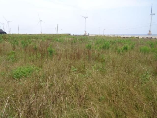 B000530202501300014243.jpg