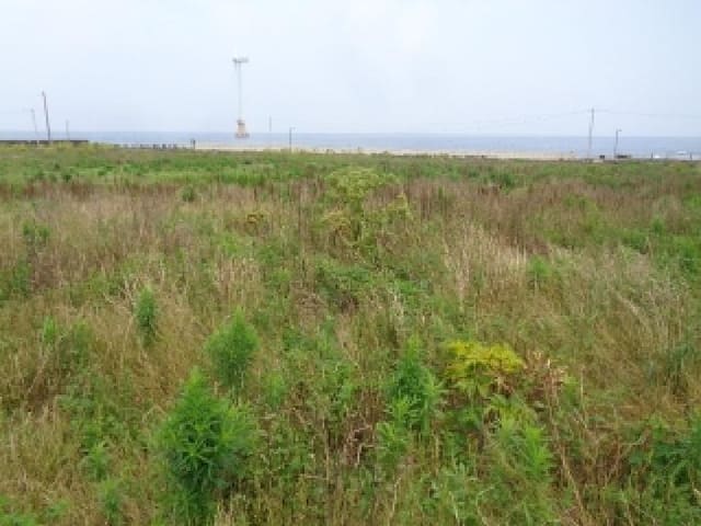 B000530202501300014244.jpg