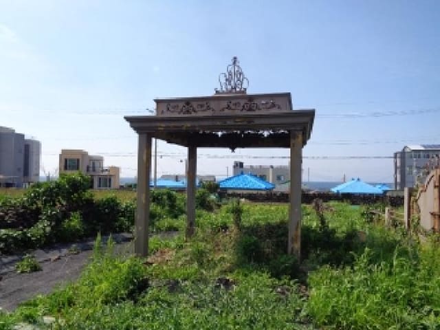 B000530202501300014254.jpg