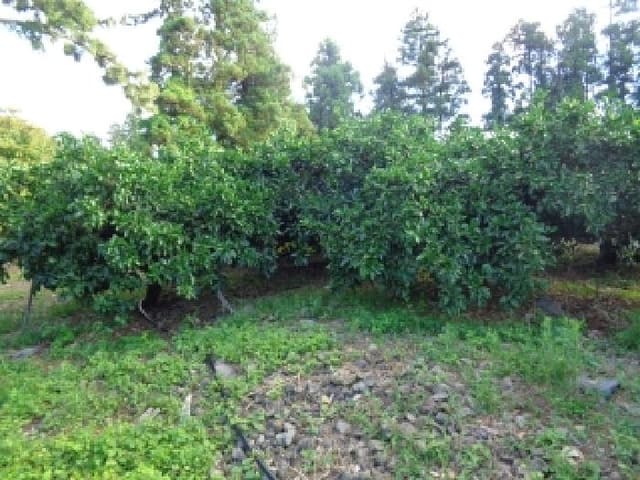 B000530202501300014341.jpg