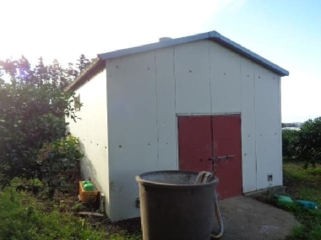 B000530202501300014342.jpg