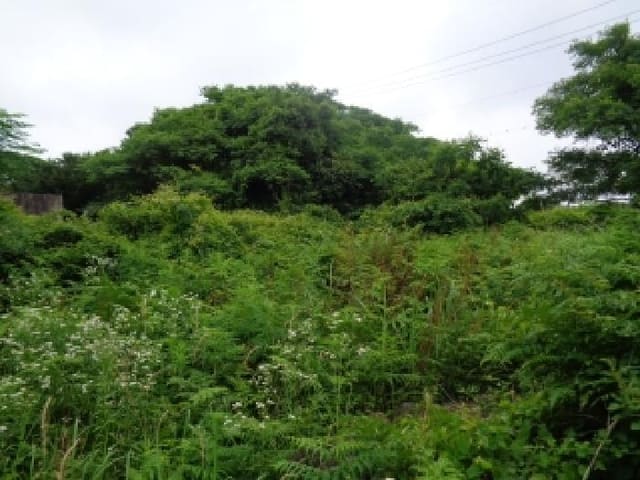 B000530202501300014372.jpg