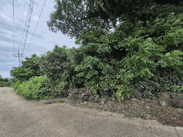 B000530202501300014373.jpg