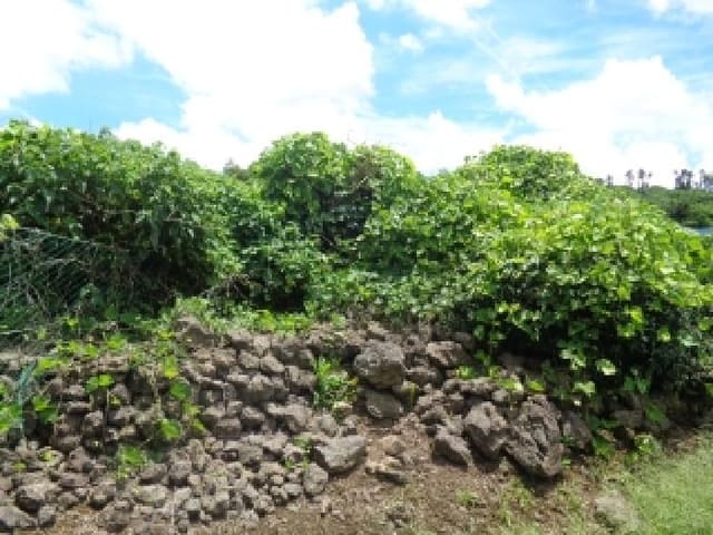 B000530202501300014383.jpg