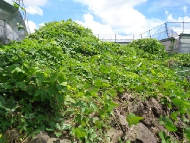 B000530202501300014384.jpg