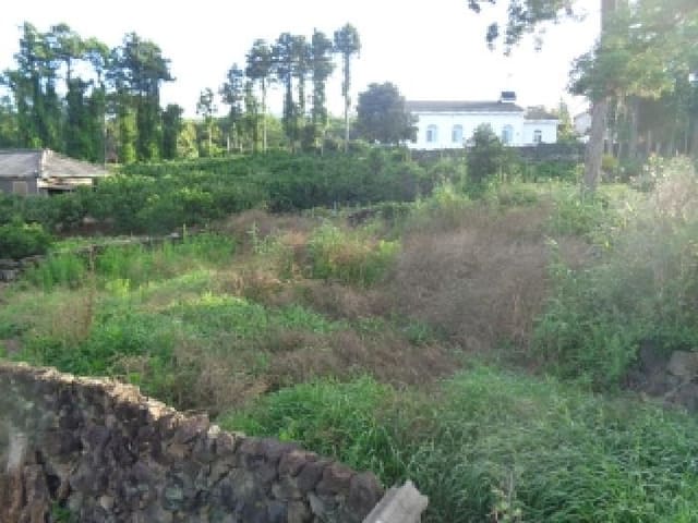 B000530202501300014472.jpg