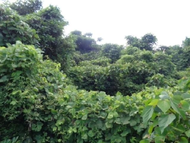 B000530202501300014481.jpg