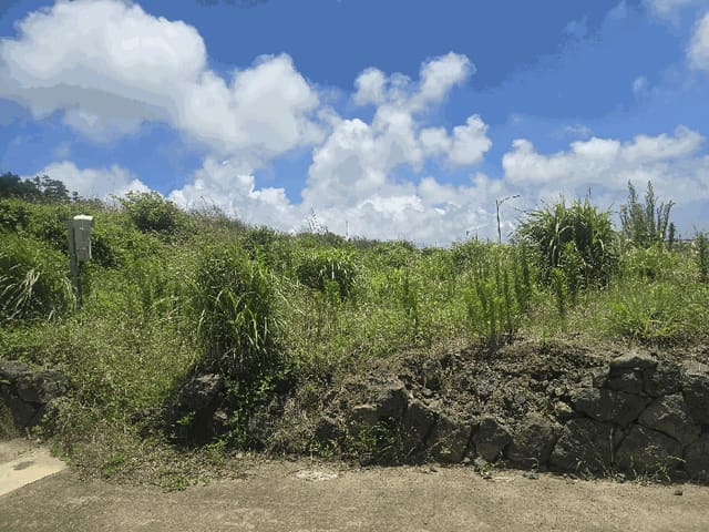 B000530202501300014594.jpg