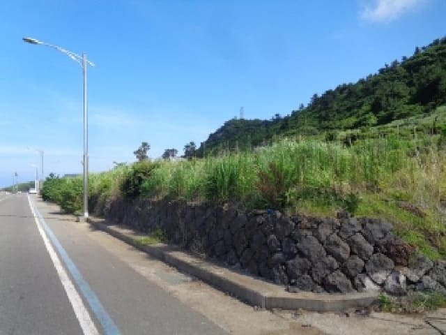 B000530202501300014592.jpg