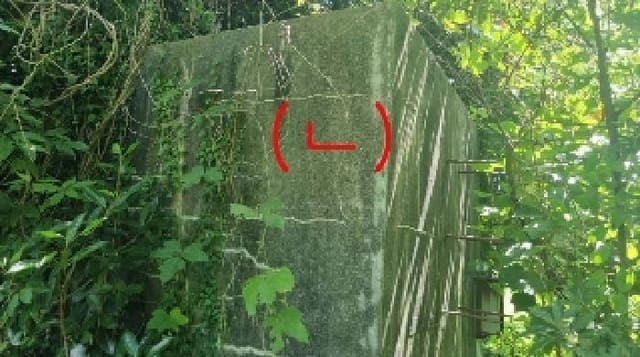 B000530202501300014753.jpg