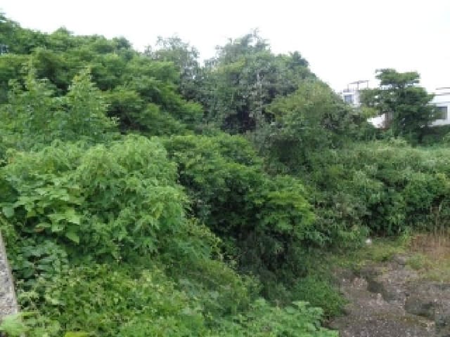 B000530202501300014951.jpg