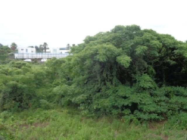 B000530202501300014953.jpg