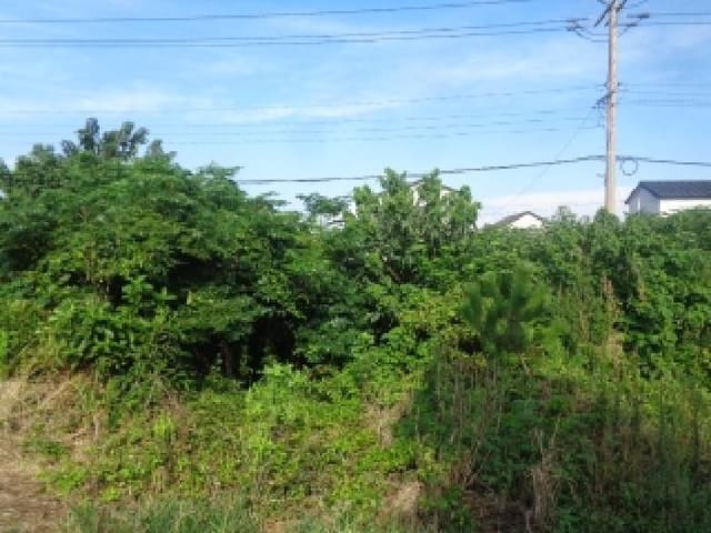 B000530202501300015152.jpg