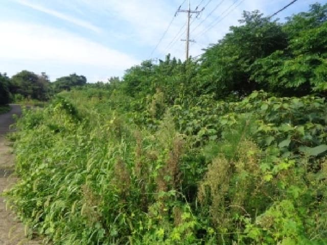 B000530202501300015151.jpg